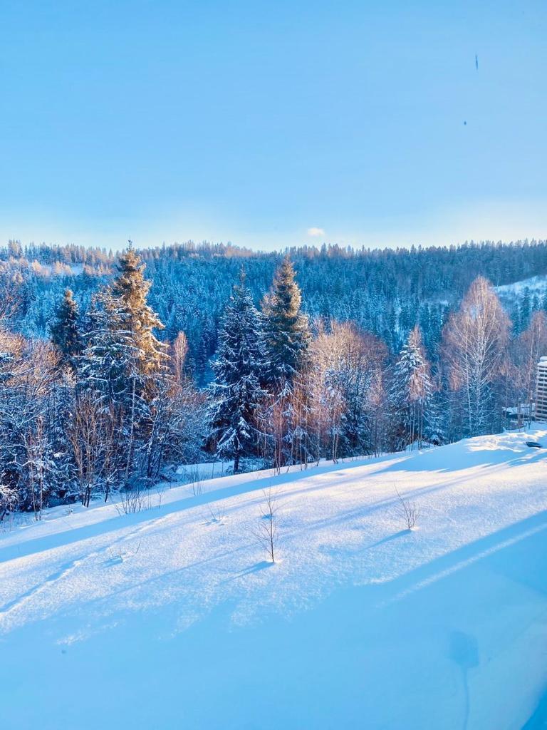 Mount Hotel Slavske Exteriör bild